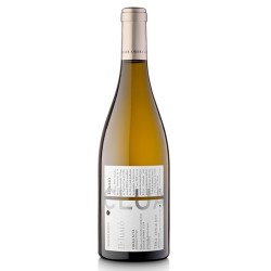 Il·lusió, Blanc | Epicuro&Co