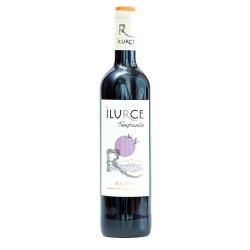 Ilurce Tinto Joven | Epicuro&Co