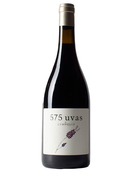 575 UVAS | Epicuro&Co