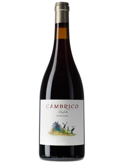 Cámbrico Rufete Miranda | Epicuro&Co