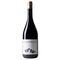 Cámbrico Tempranillo | Epicuro&Co