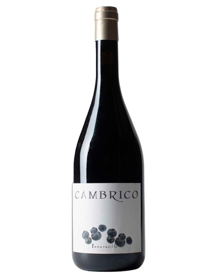 Cámbrico Tempranillo | Epicuro&Co