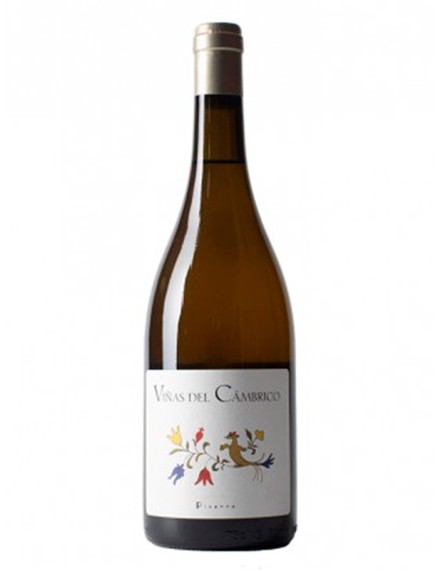 Cámbrico Rufete Blanco Pizarra | Epicuro&Co
