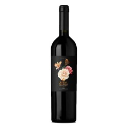18 Rosas Negras | Epicuro&Co