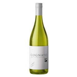 Cognato Chenin | Epicuro&Co