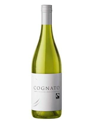 Cognato Chenin | Epicuro&Co