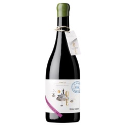 Ortega Ezquerro Garnacha, Monovarietal | Epicuro&Co